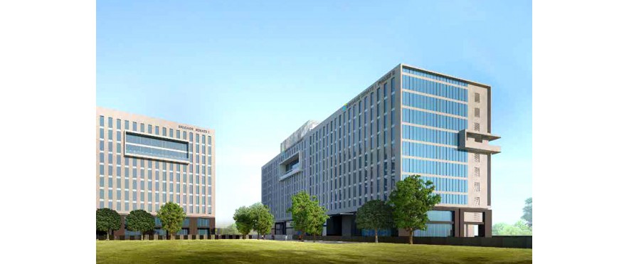 BuzzWorks - Brigade Senate 1, Wing 2